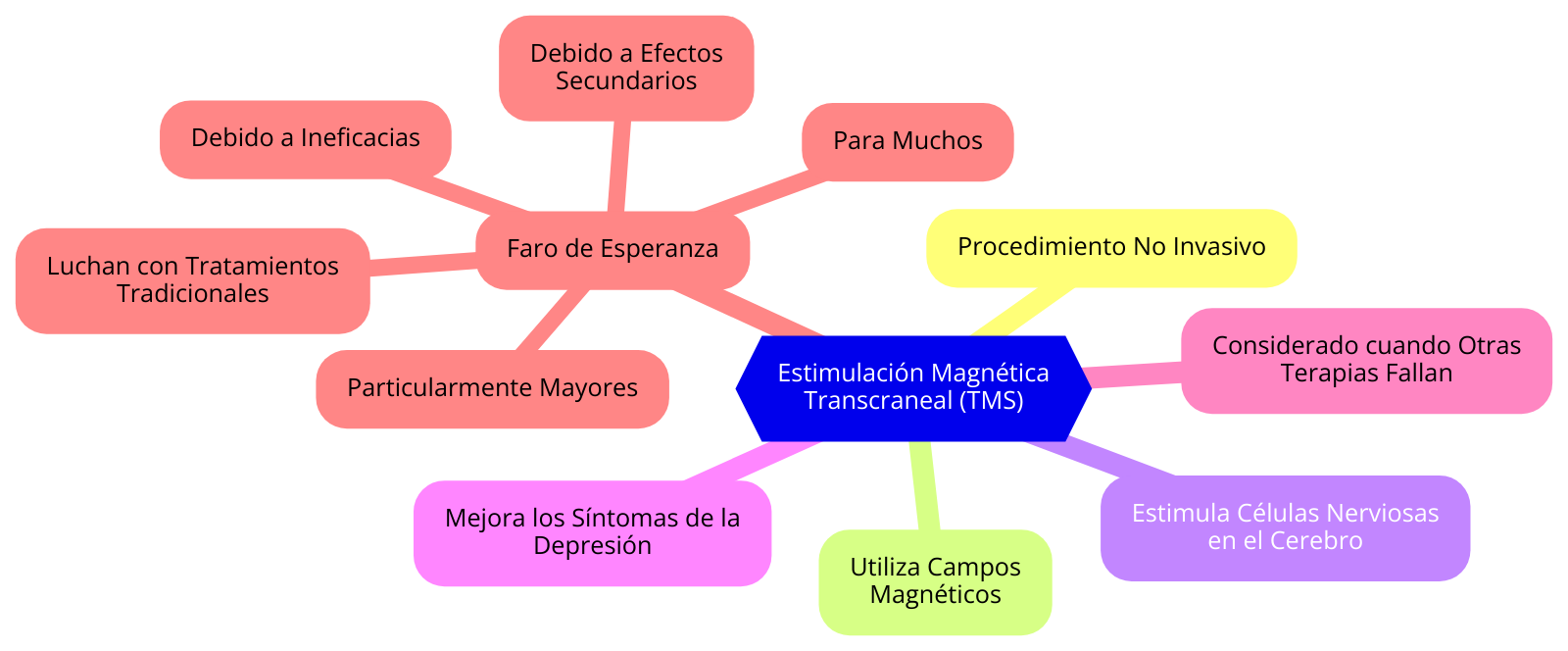 ¿Qué es TMS?