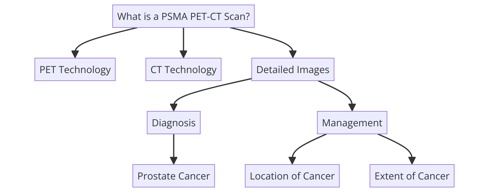 What is a PSMA PET-CT Scan?