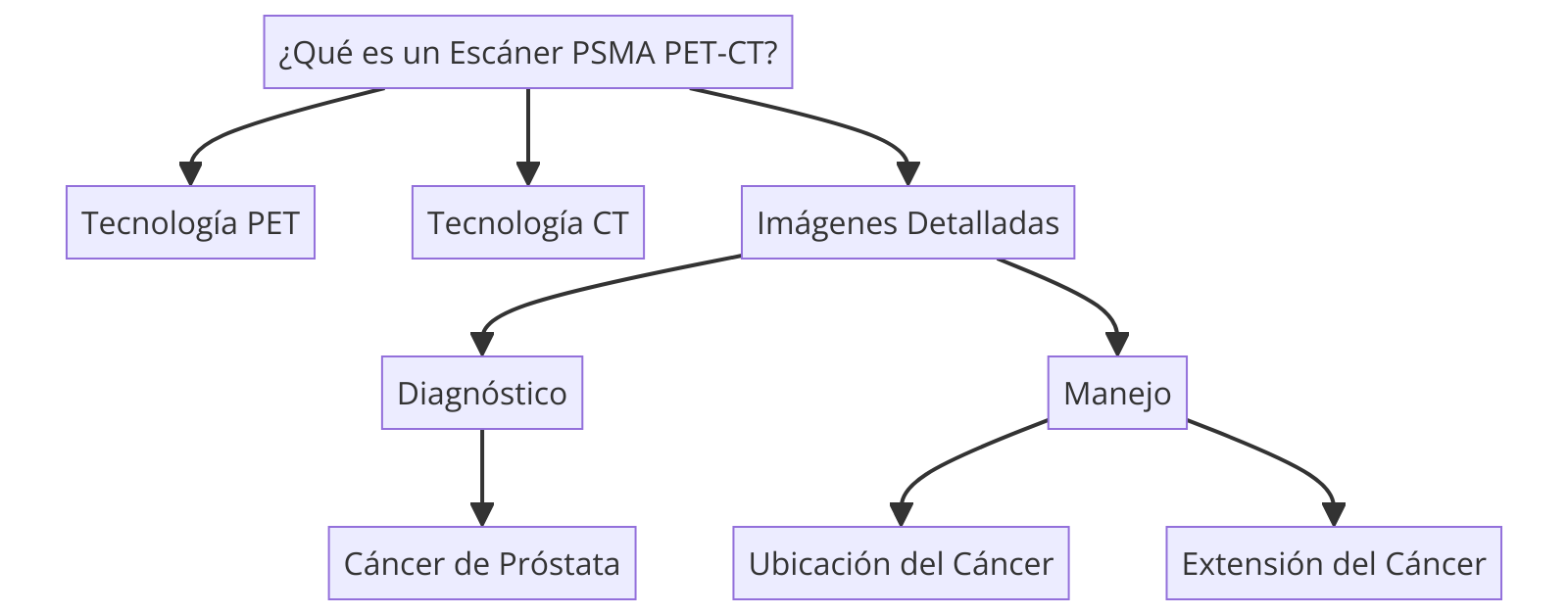 ¿Qué es un Escáner PSMA PET-CT?