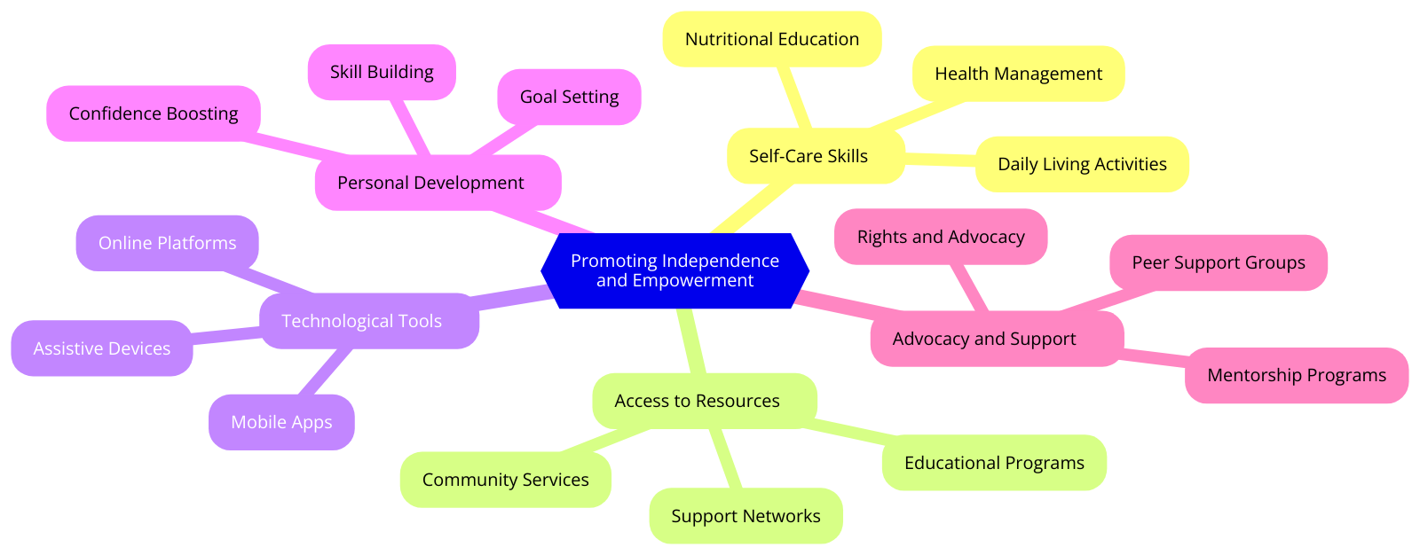 a diagram for "Promoting Independence and Empowerment" using a mindmap. Getting syntax documentation for mindmap.