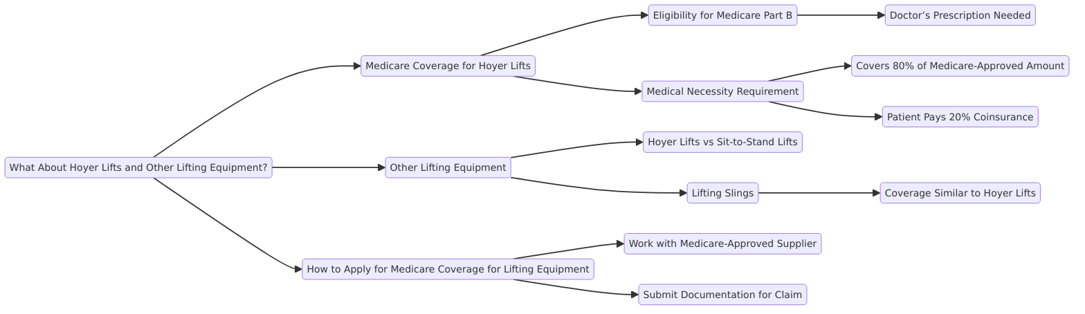 a detailed mindmap addressing the question "What About Hoyer Lifts and Other Lifting Equipment?"