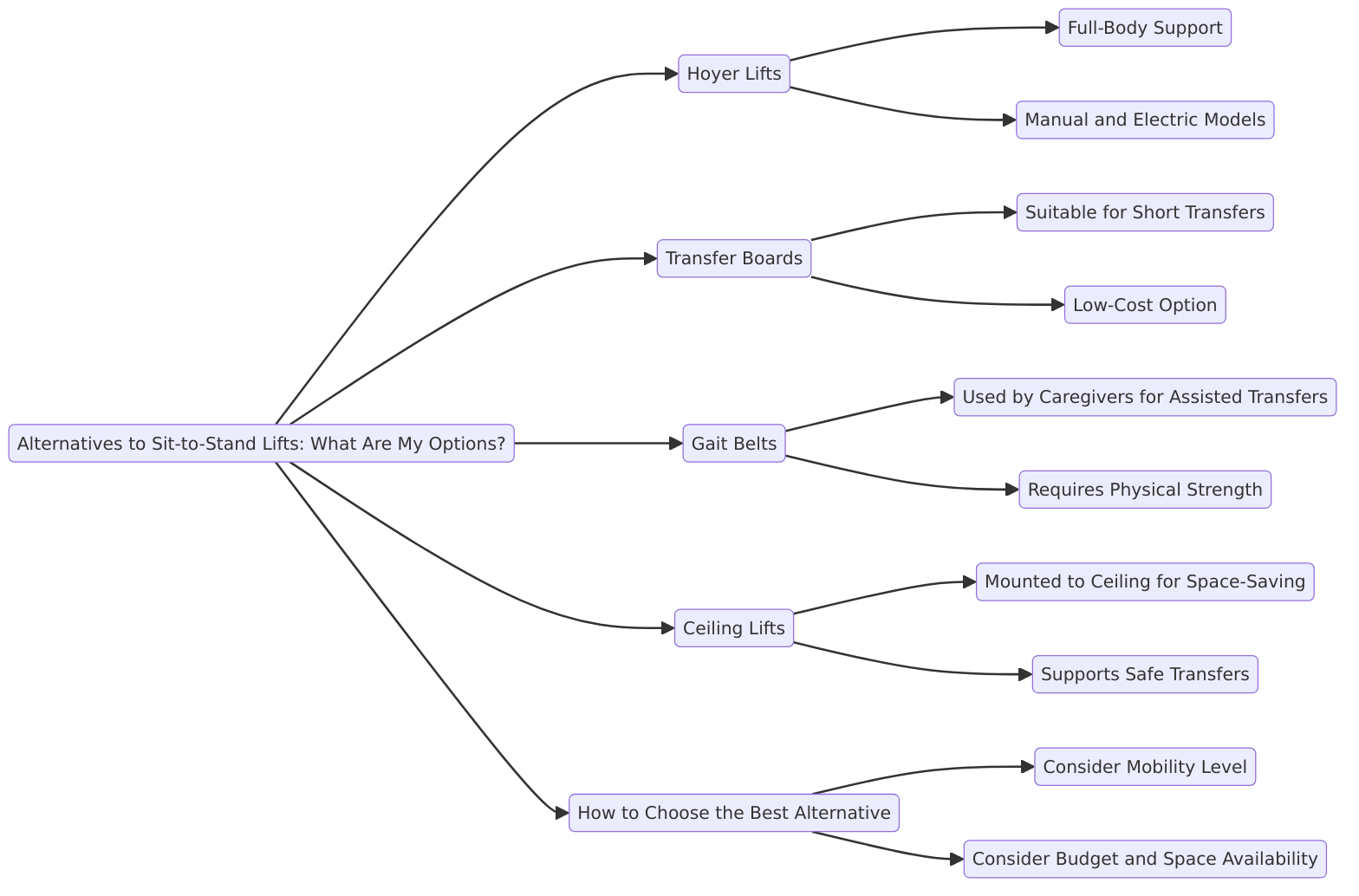 a detailed mindmap outlining "Alternatives to Sit-to-Stand Lifts: What Are My Options?"