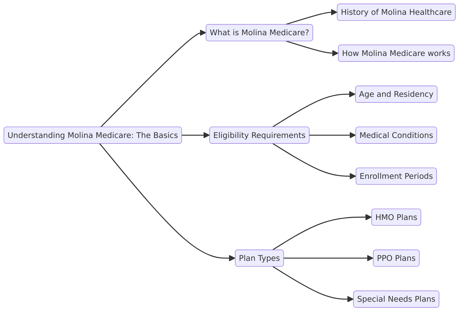 a diagram representing "Understanding Molina Medicare: The Basics"