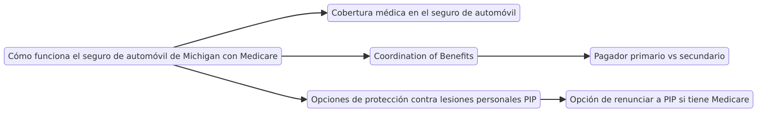 Cómo funciona el seguro de automóvil de Michigan con Medicare