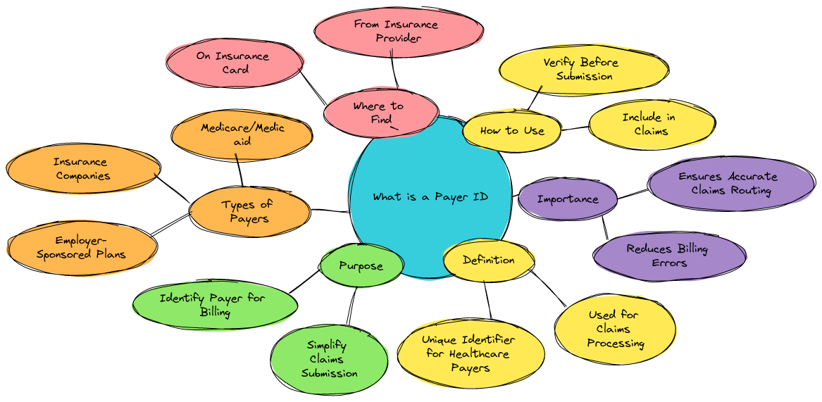 a mindmap diagram of What is a Payer ID?