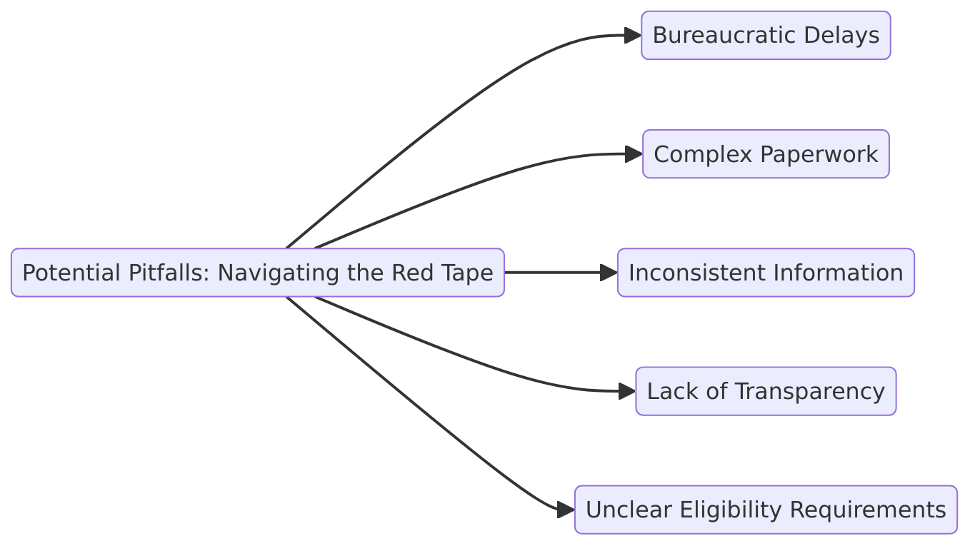 Potential Pitfalls: Navigating the Red Tape