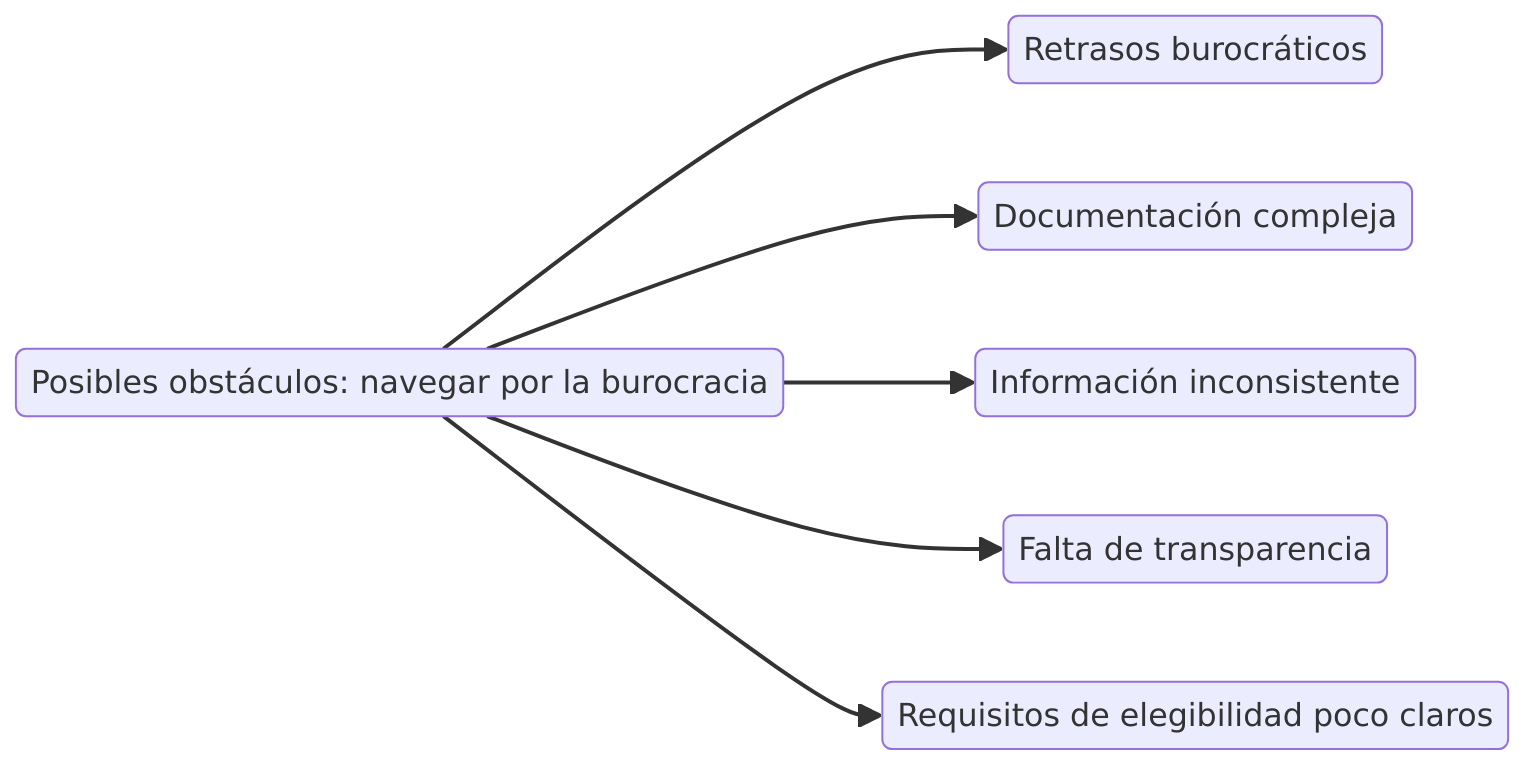 Posibles obstáculos: navegar por la burocracia